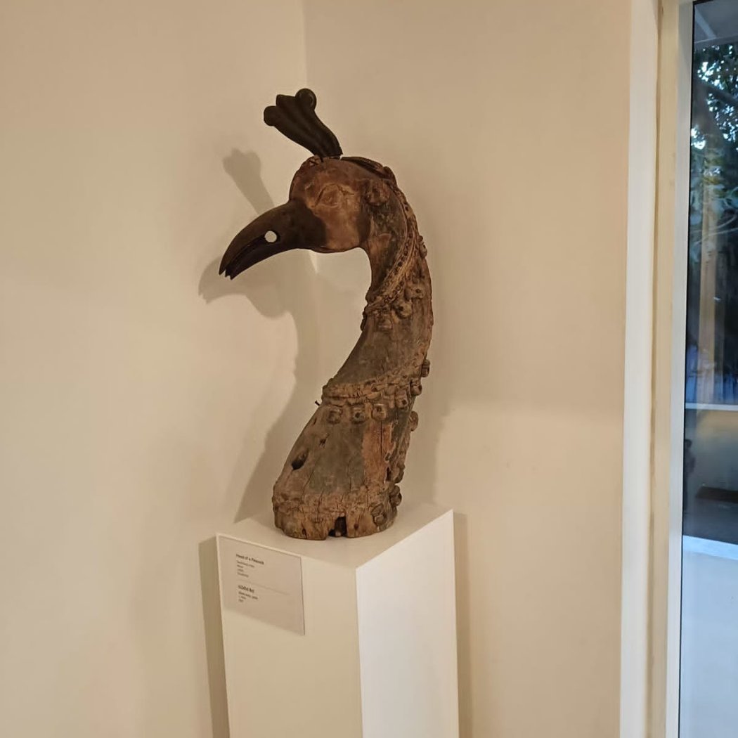 Paper Gardens: Art, Botany, and Empire